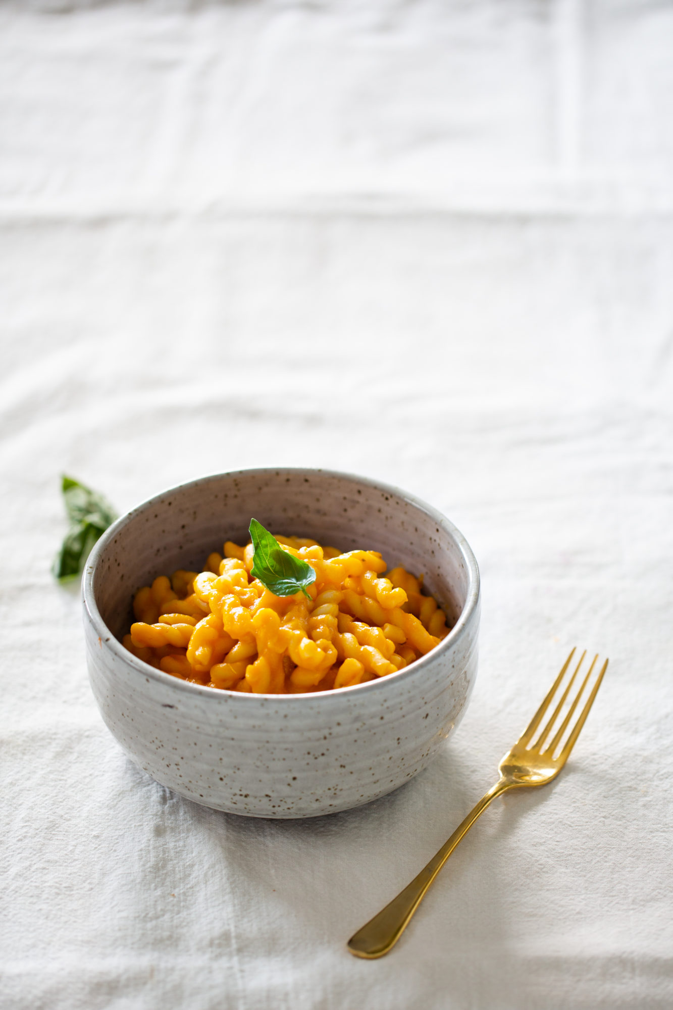 Bowl of pasta with tomato butternut sauce