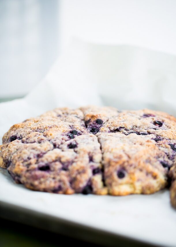 vegan blueberry scone