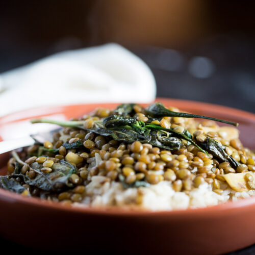 Thai basil lentils, vegan version of a delicious and classic Thai dish