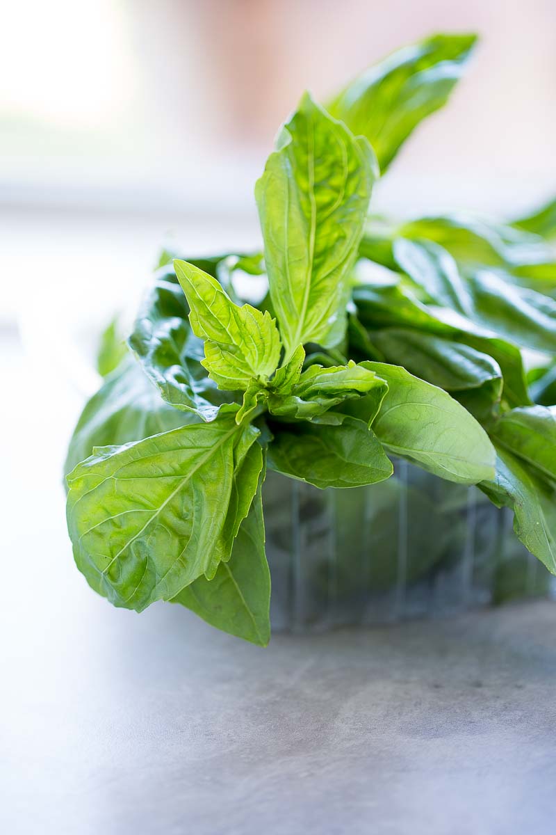 fresh basil in a plastic container