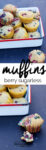Berry sugarless muffins vegan recipe for breakfast or brunch