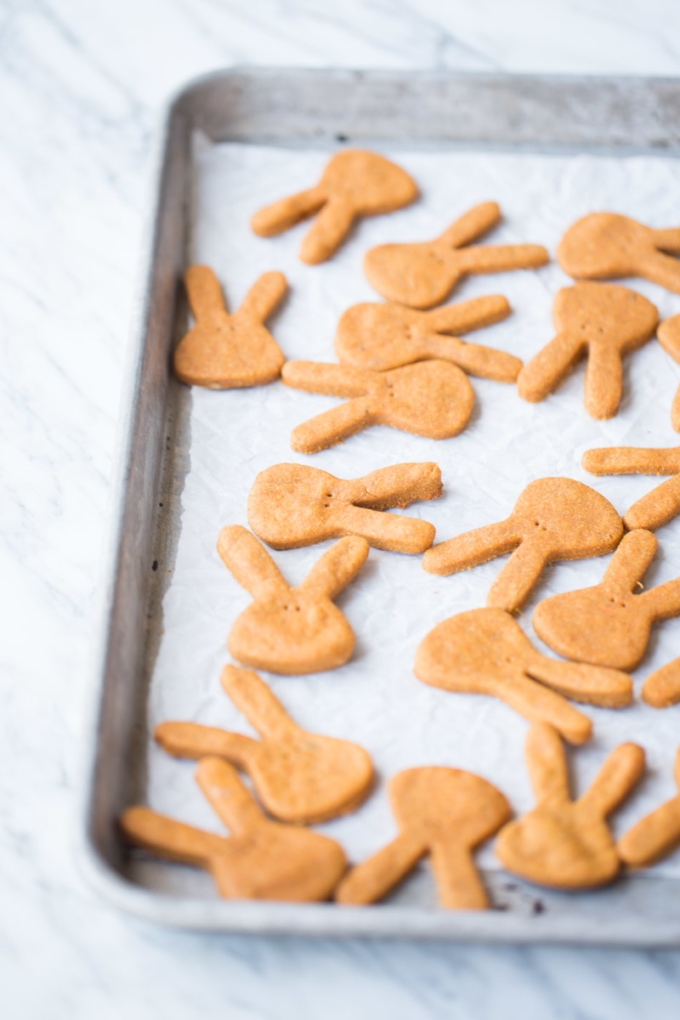 vegan dog treats cut as bunnies