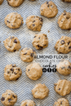 vegan gluten free chocolate chip cookies
