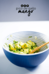 mango guacamole o pico degallo con mango