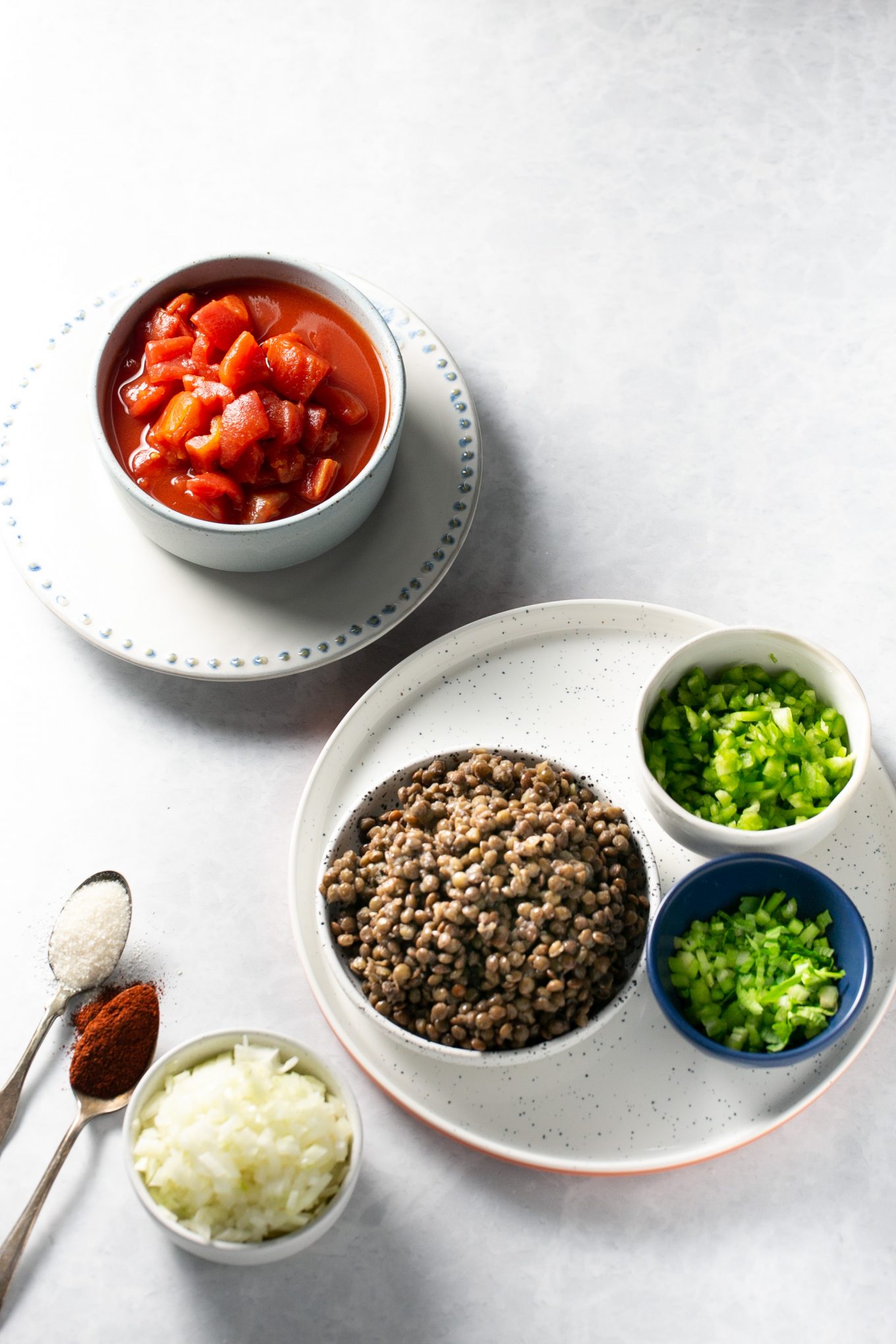 ingredients to make vegan sloppy joes