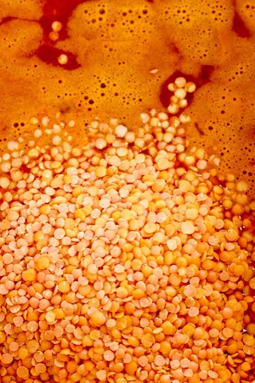 vegan red lentil soup