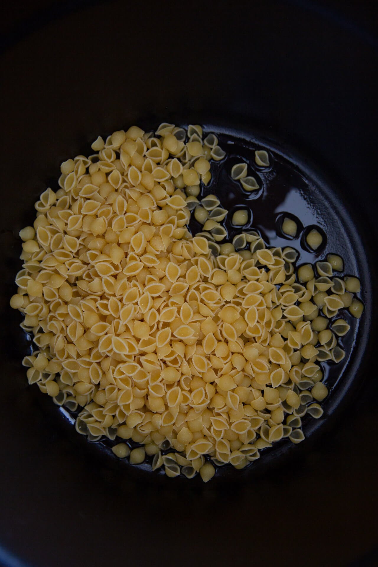 pasta shells in a a pot