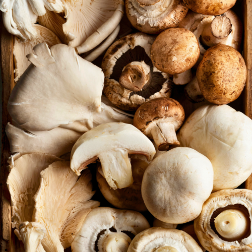 A wooden box filled with different types of mushrooms and how to prepare them.