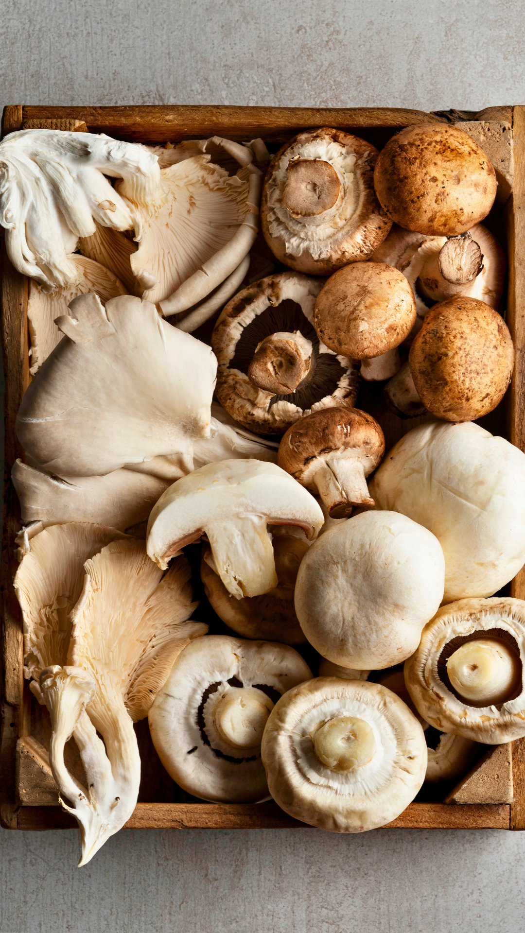 Una caja llena de diferentes tipos de setas, incluidos champiñones y apta para hacer recetas con champiñones o crema de champiñones.