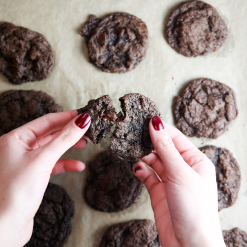 A person holding a vegan chocolate cookie.