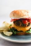 A Southwest-inspired burger on a plate with fries.