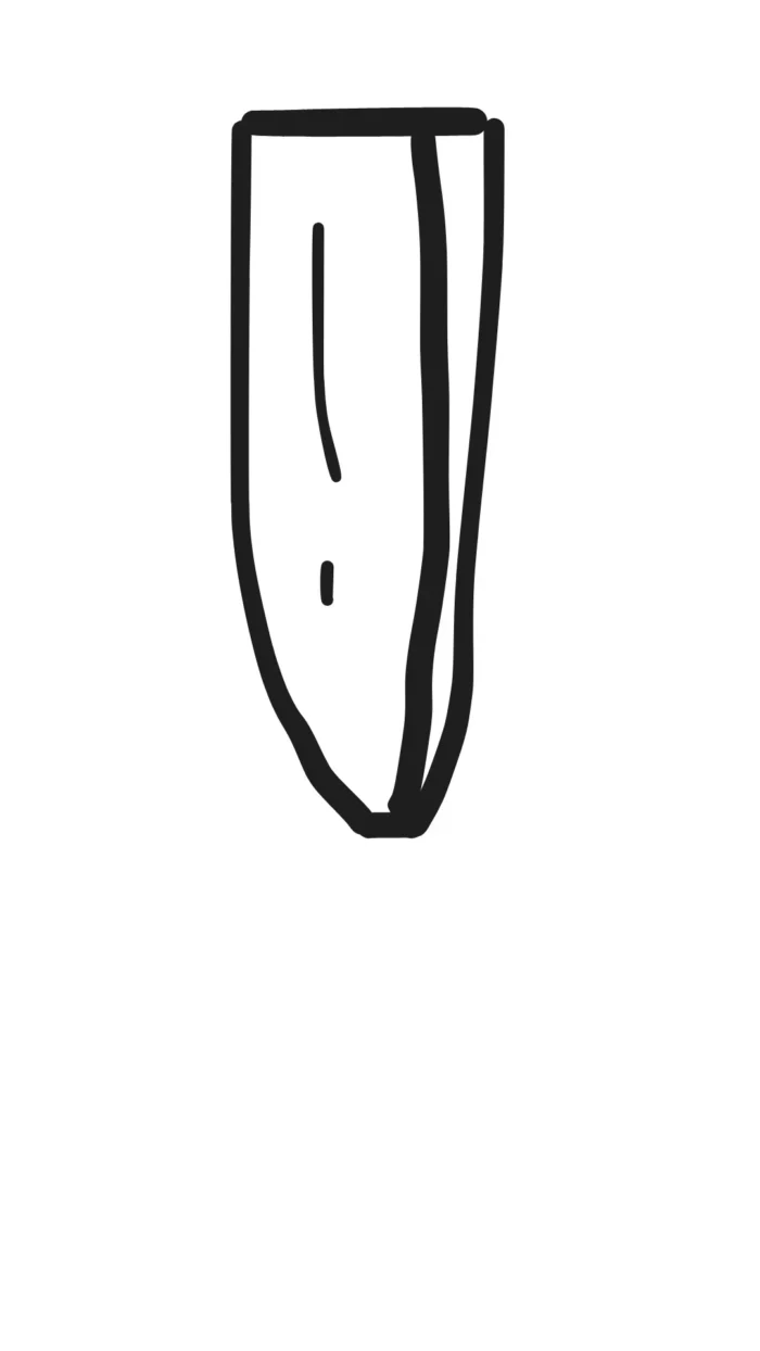 A simple black and white line drawing of a whole almond resembles the elegance of an olive oil bottle. The almond is drawn with a smooth outer shell and a pointed bottom. Two vertical lines suggest texture or detail on the shell, centered against a plain white background.