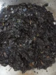 A close-up of a dark, almost black, moist mixture—known as huitlacoche or Mexican truffle—with visible small chunks and bits of white and green. The uneven, glossy texture fills a metal pan or bowl, capturing a moment in the kitchen.