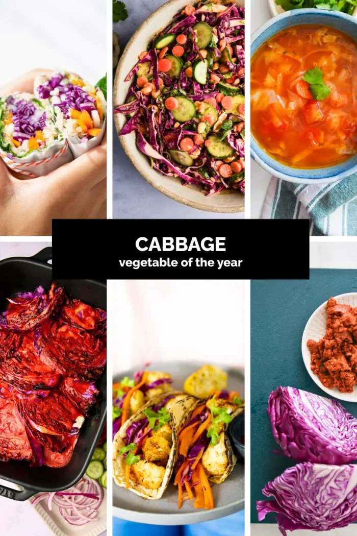 A collage showcases vibrant cabbage dishes: spring rolls, cabbage salad, soup, roasted red cabbage, and Mexican cuisine tacos with cabbage slaw. In the center, text proclaims &ldquo;CABBAGE vegetable of the year.&rdquo;.